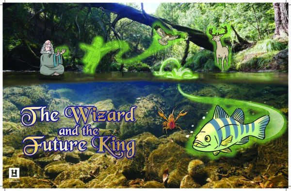 The Wizard and the Future King Poster