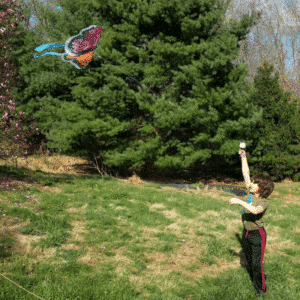 CHI Kite